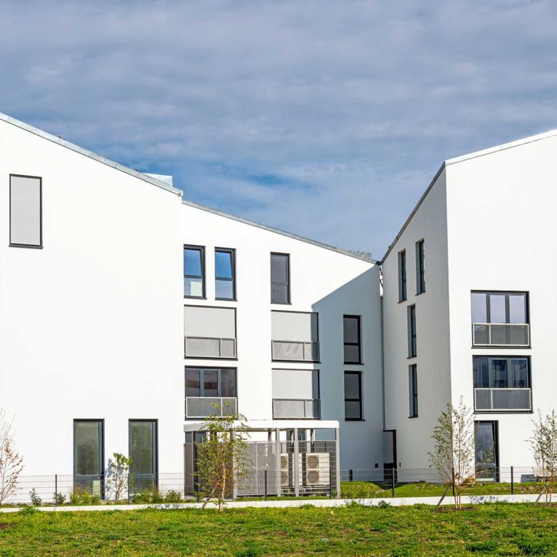 Skills That You Can Learn In The Real Estate Market - Bold Realty Services Skills That You Can Learn In The Real Estate Market